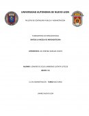 SINTESIS LA MEZCLA DE MERCADOTECNIA