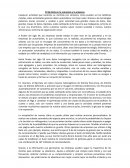 El Big Data en la economía y la empresa