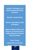 Mediación Ensayo MASC