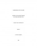 LABORATORIO LEY DE COULOMB