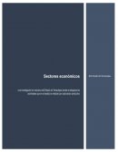 ¿QUE ES UN SECTOR ECONOMICO?