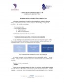 FORMATOS DE INTEGRACIÓN CURRICULAR