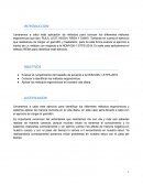 Aplicación de métodos ergonómicos y cumplimiento de la NOM-036-1-STPS-2018