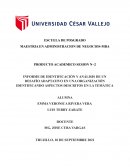 INFORME DE IDENTIFICACIÓN Y ANÁLISIS DE UN DESAFÍO ADAPTATIVO EN UNA ORGANIZACIÓN IDENTIFICANDO ASPECTOS DESCRITOS EN LA TEMÁTICA
