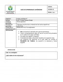 ¿Qué sabes de las manzanas?