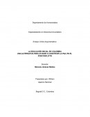 LA EDUCACIÓN INICIAL Y LA EDUCACIÓN PREESCOLAR: PERSPECTIVAS DE DESARROLLO EN COLOMBIA Y SU IMPORTANCIA EN LA CONFIGURACIÓN DEL MUNDO DE LOS NIÑOS*