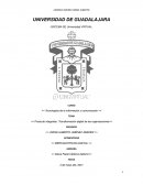 Fabricación y comercialización de piezas artesanales de origen mexican