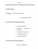 DIFICULTADES DE APRENDIZAJE Y NECESIDADES EDUCATIVAS ESPECIALES