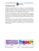 Elementos pagina web marketing digital