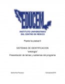 Sistemas de identificasion “antología”