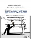 Patrones de comportamiento