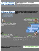 Ambiente de la mercadotecia Infografia
