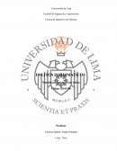 DELITOS INFORMÁTICOS