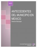Antecedentes del Municipio en México