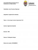 La Tecnologia Creativa Organizada TOC