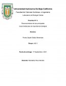 Practica N° 3: Reconocimiento de las principales macromoléculas de importancia biológica