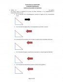 Tarea equilibrio de mercado
