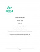 Administración de proyectos y su organización