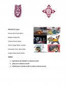 Importancia de estudiar la violencia social. ¿Qué es la violencia social? Instituciones a donde acudir si sufres violencia social