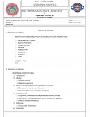 LUCES RÍTMICAS CON DIODOS Y TIRAS LEDS