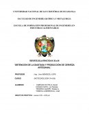 OBTENCIÓN DE LA DIASTASA Y PRODUCCIÓN DE CERVEZA ARTESANAL