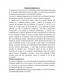 Mielofibrosis post Trommbocitosis Esencia