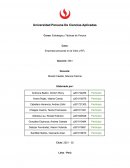 Caso: Empresas peruanas en la India y RFL