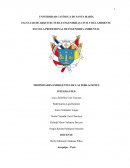 Propiedades emergentes de las poblaciones