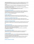 Control de produccion