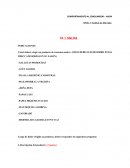 Lineamientos TA1 Comportamiento al consumidor