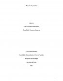 Proyecto de psicología organizacional en una empresa