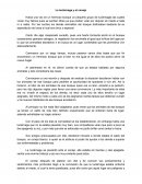 Cuento "La luciérnaga y el conejo"