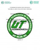 Método científico. Propuesta de solución del problema