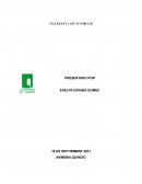 ¿Que es la sinecmatica?