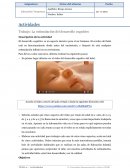 Actividad desarrollo cognitivo 0 a 3 años