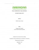 Identificación de riesgos ambientales