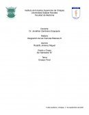 PREVENCION Y PROMOCION DE QUEMADURAS EN POBLACION ADULTA Y PEDIATRICA