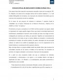 ENSAYO FINAL DE REFLEXIÓN TEÓRICO-PRÁCTICA