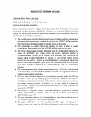 NEGOCIO DE PERSONA NATURAL