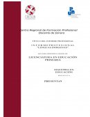 Informe profesional Educación básica