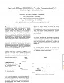 Experiencia del Grupo IBERDROLA en Powerline Communications (PLC)