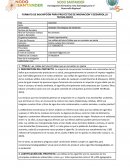 Las colillas del futuro/Colillas que se convierten en planta