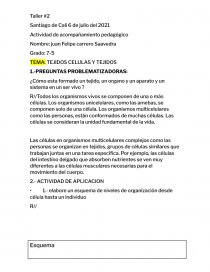 TEJIDOS CELULAS Y TEJIDOS. Página 1