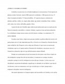 ¿Por que Colombia es pobre?