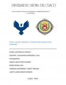 ¿En qué consiste la producción servucción?