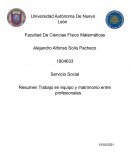 Resumen Trabajo en equipo y matrimonio entre profesionales