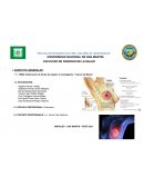 Elaboración de fichas de registro e investigación “ Cáncer de Mama”