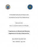 Importancia y la influencia de diferentes organismos en pro de la cultura de paz