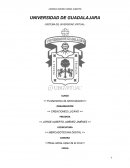 ¿Qué una comunidad virtual, características y su función e importancia en la mercadotecnia?