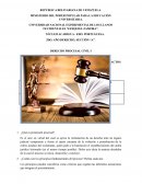 La Pretensión Procesal y lo Actos Procesales